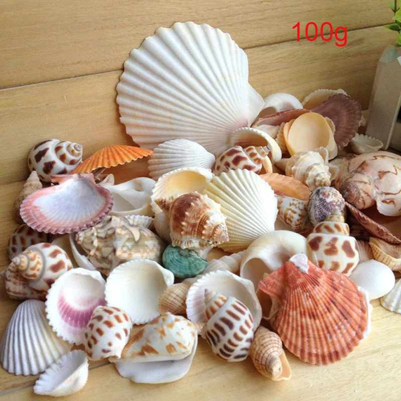 

100g Sea Beach Shells Mixed Fish Tank Aquarium Landscape Decoration Durable Fish Tank Aquarium Sea Beach Shells Embellishment