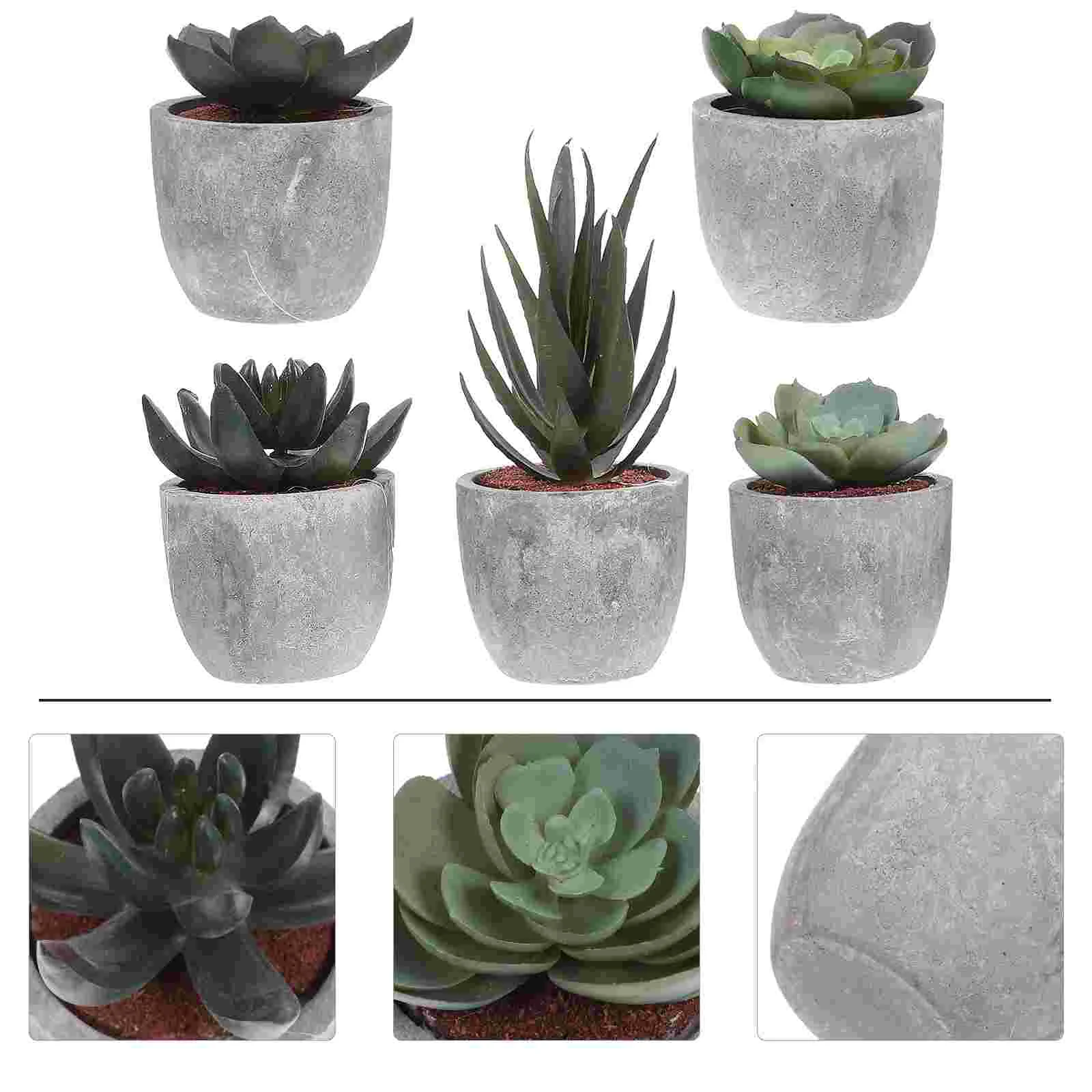 

Potted Succulents Fakemini Miniature Bonsai Artificial Fauxplants Succulentpot Greenerysmall Green Flower Flowerpot Model Tiny