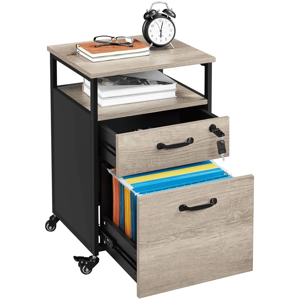 Industrial Rolling File Cabinet with 2 Drawers, Letter Size, Black/Grey