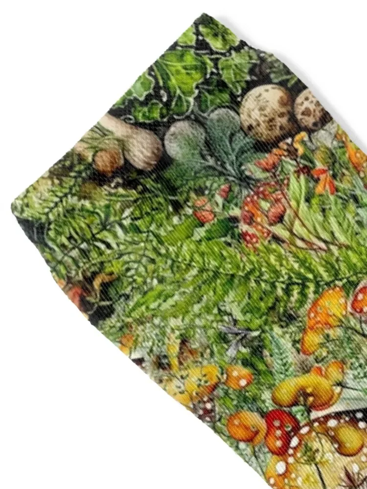 Коллаж с грибами и цветами мужские женские носки