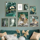 Настенная картина с леопардовым тигром в виде тукан, искусство на холсте, скандинавские плакаты и принты, настенные картины для декора гостиной