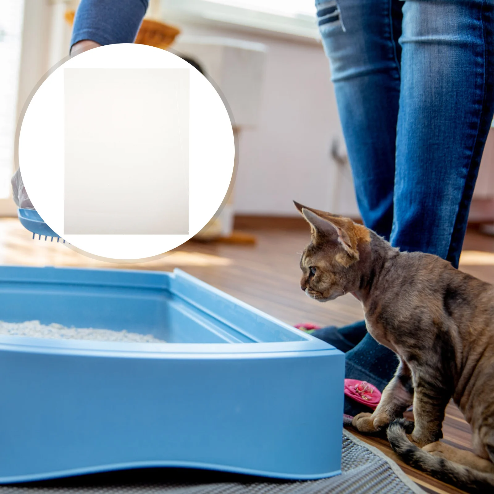 Anti-splashing Bedpan
