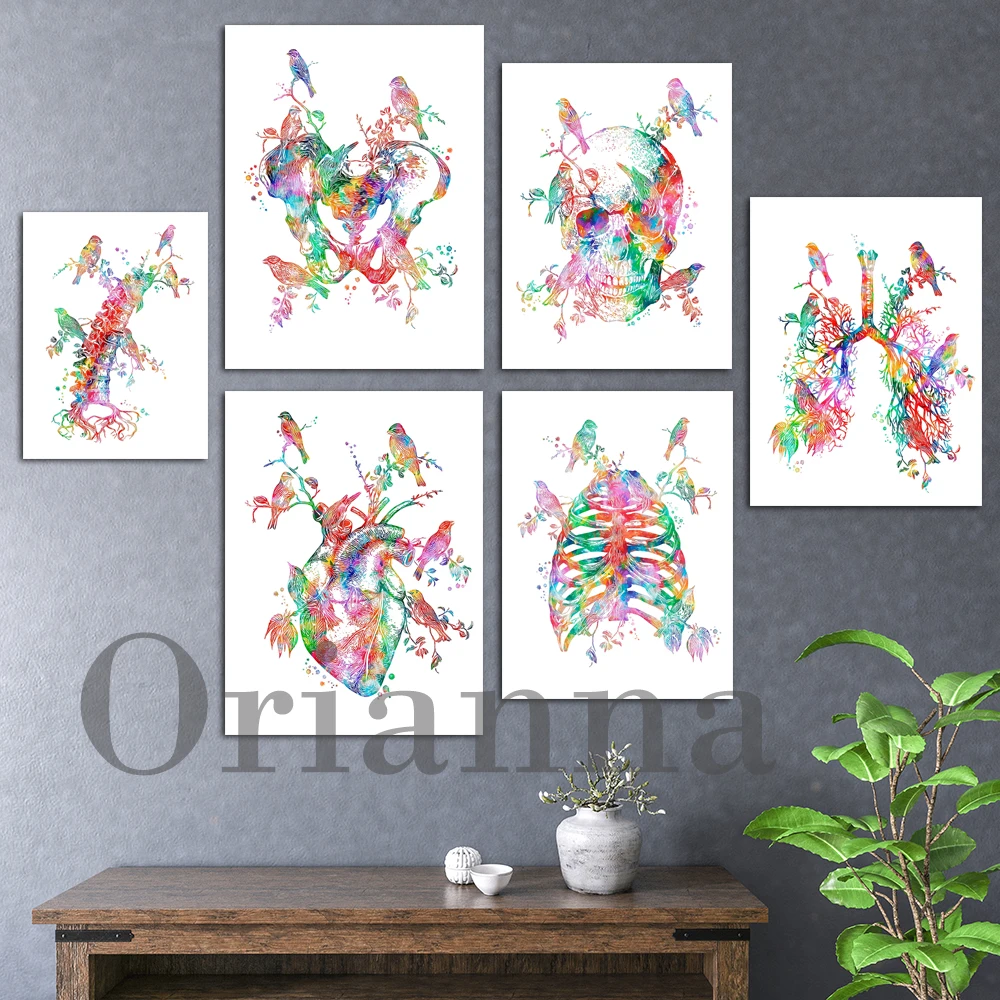

Watercolor Anatomy Print Heart And Birds Skull Skull Rib Cage Pelvis Vertebral Column Bronchial Tree Doctor Office Decor Poster