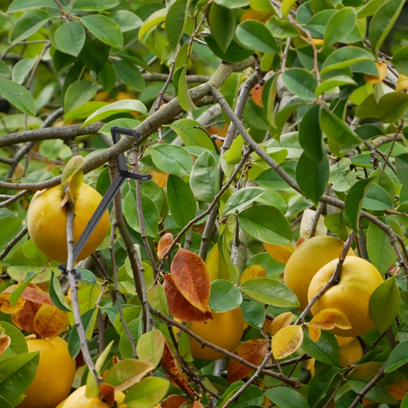 10 шт. инструмент для изгиба в форме ветки искусственные растения комнатные