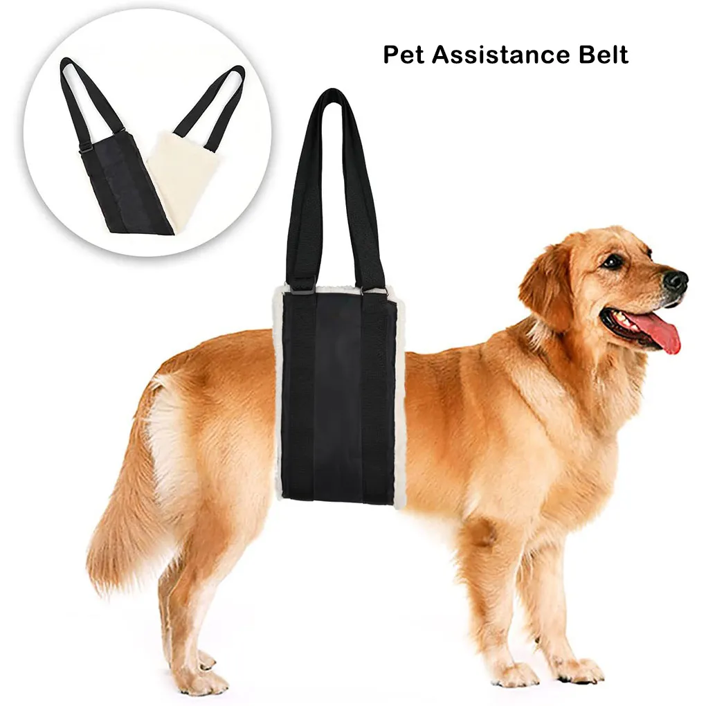 

Поводок для домашних животных Регулируемый слинг Вспомогательные аксессуары для прогулок с сумкой для хранения