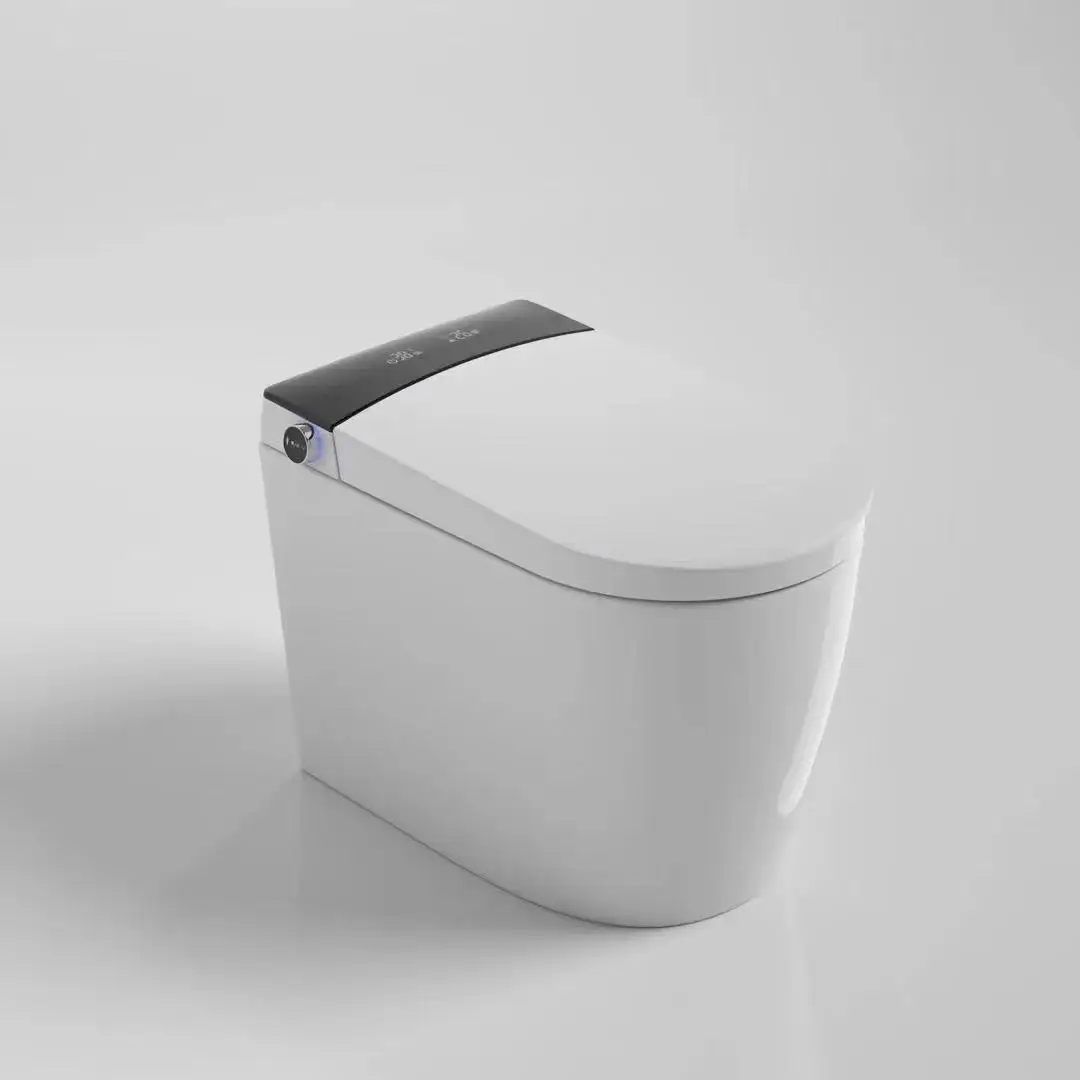 

Роскошный п-ловушка Настенный умный туалет удлиненный с дистанционным управлением умный туалет для биде T3