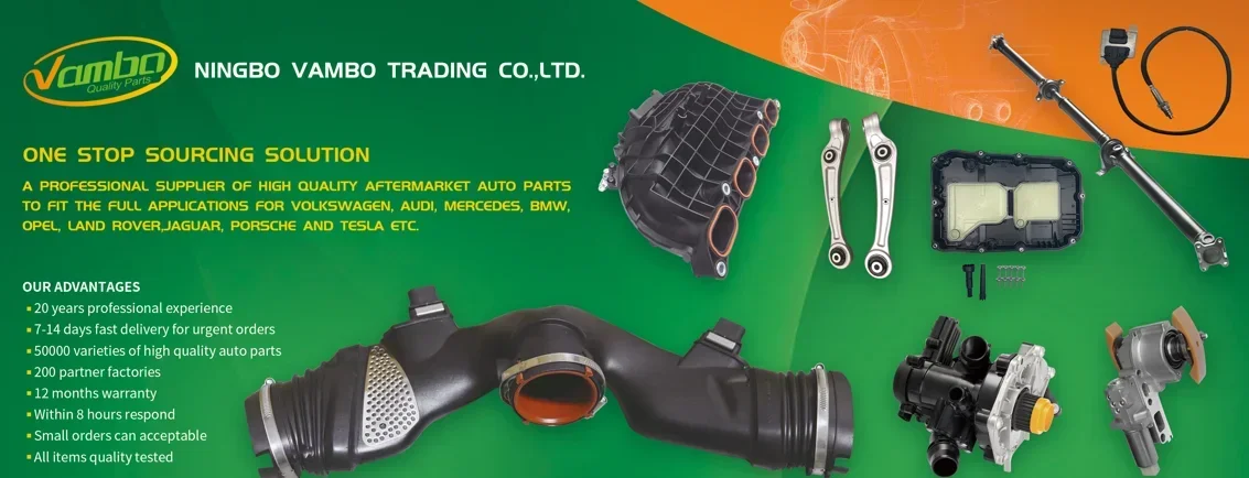 Модифицированный амортизатор доступен для E36 E46 E39 E90 E60 E30 E34 F20 F10 MINI R50 R56