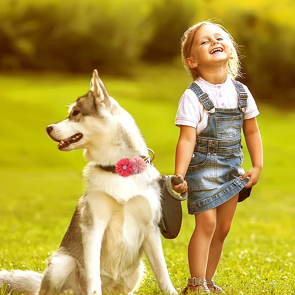 Девочка с собакой из лайка. Две девочки и собака. Девочка с собакой картинка. Девочка обнимает хаски. Девушка с двумя детьми и собакой.