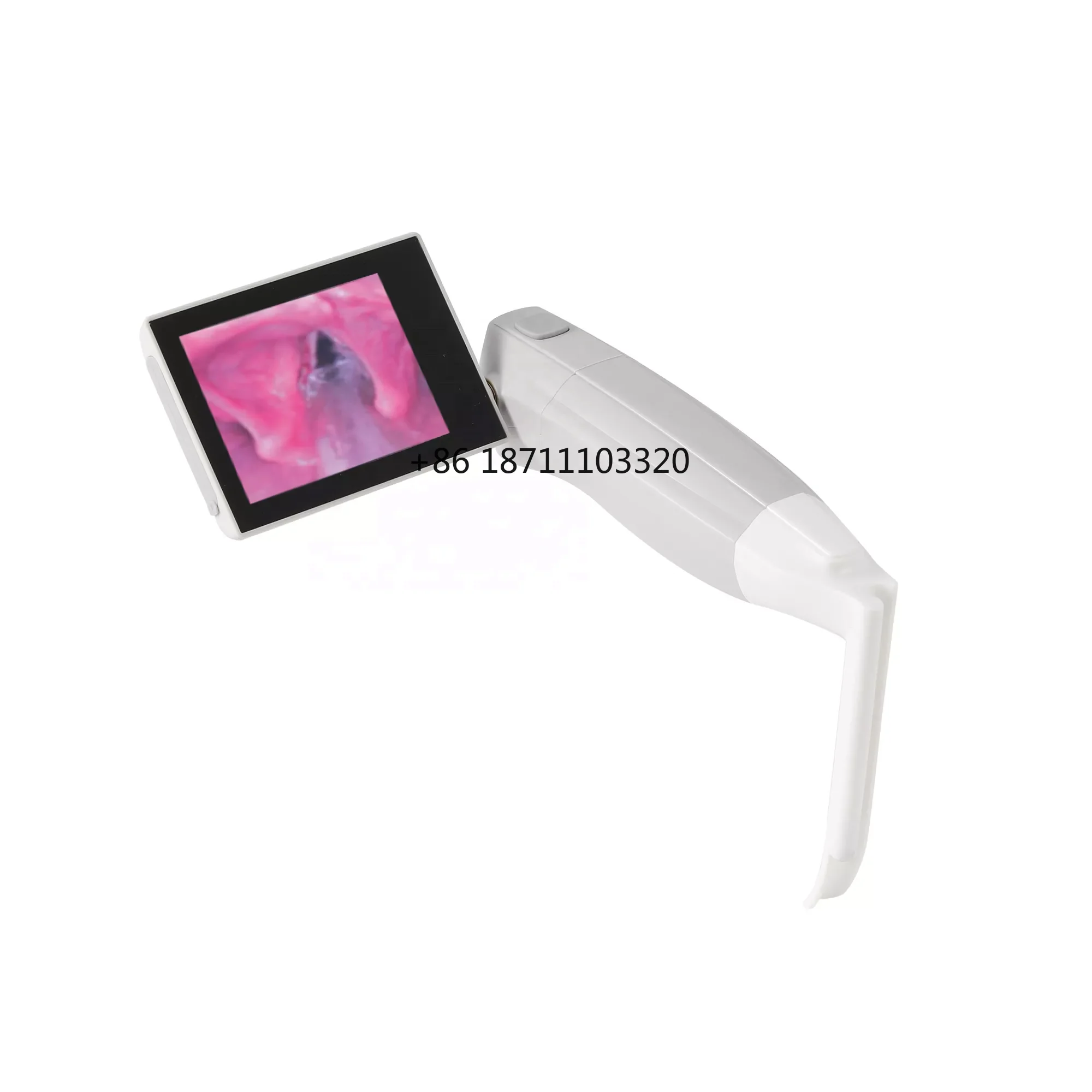 Полумногоразовая модель дельфина BESDATA для управления дыхательными путями видео