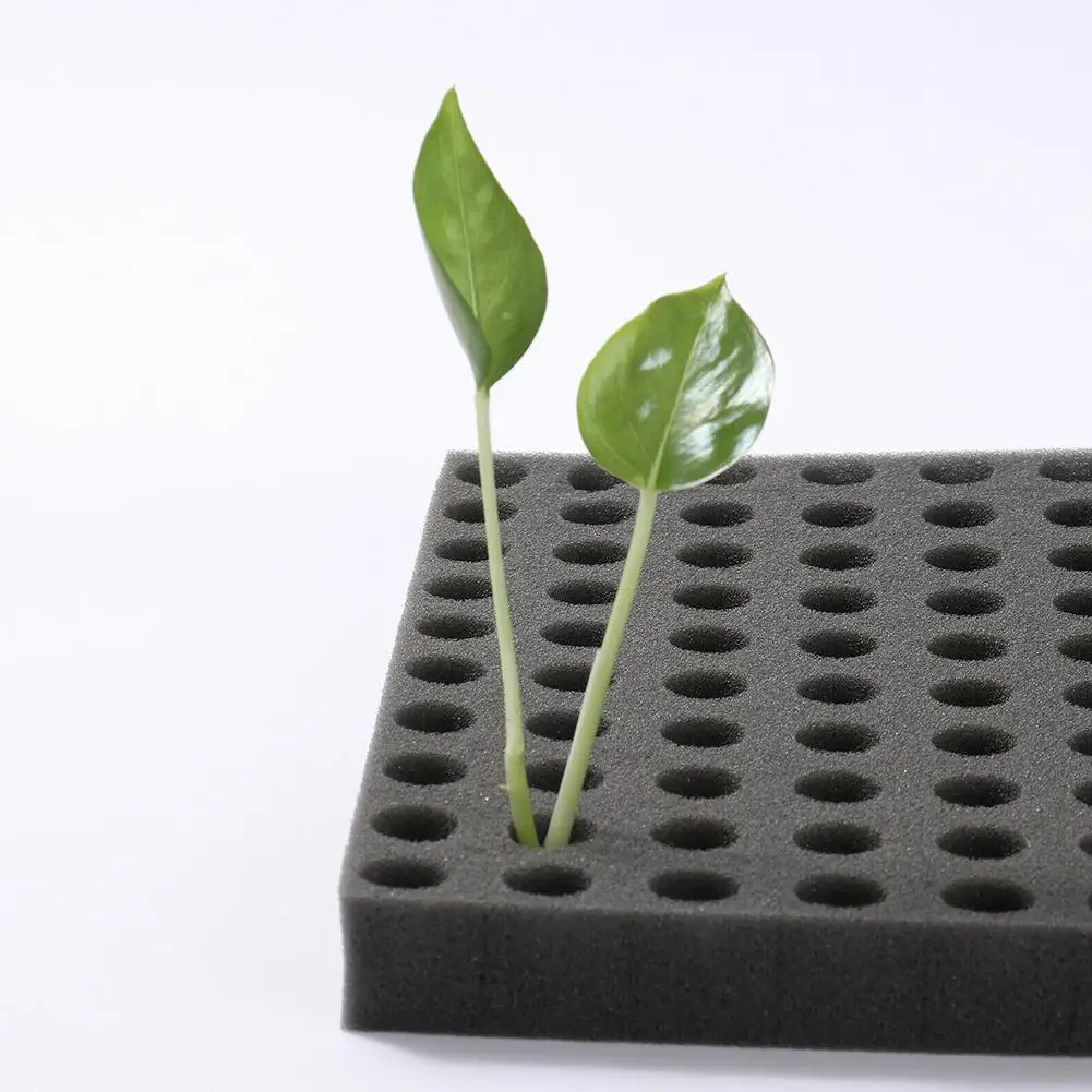 100 Pieces Dirt Resistant Seedling Sponge Soilless Cube Hydroponics Square Growth Seed Foam Medium N0O0 |