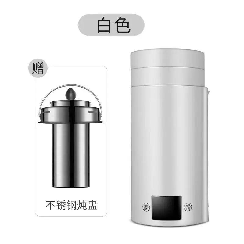 

220V 110V Mini Electric Kettle Hot Water Thermal Boiler Travel Stainless Steel Tea coffee milk boiling cup portable Teapot 600ml