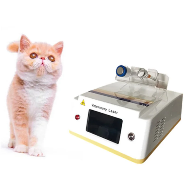 

Beauty Equipment Class Iv Vet Laser Wound Healing Veterinary Laser Physiotherapy