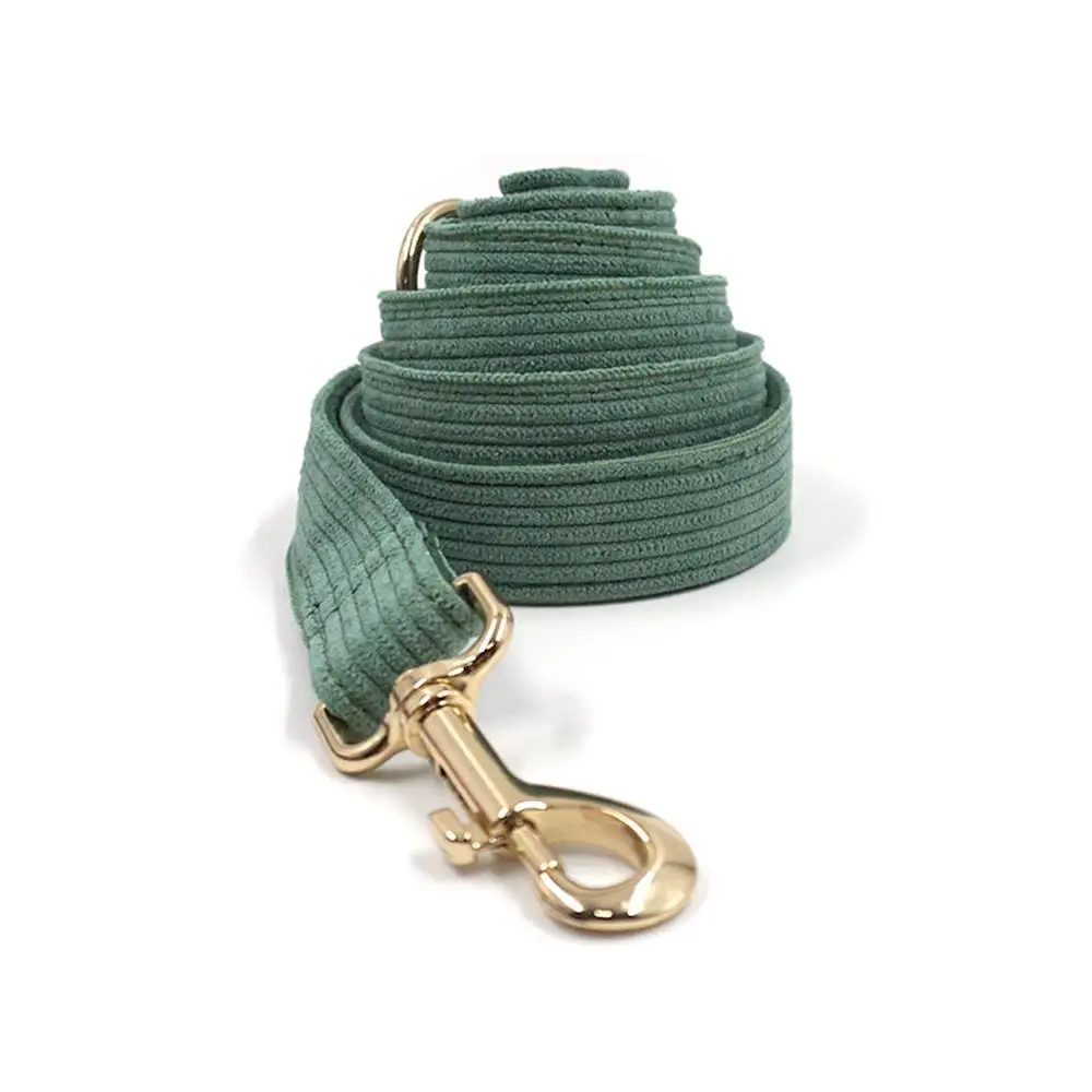 Дешево Персонализованный ошейник для собак, темно-зеленый, толстый, с гравировкой, с поводком для щенков Купить Персонализованный ошейник для собак, темно-зеленый, толстый, с гравировкой, с поводком для щенков