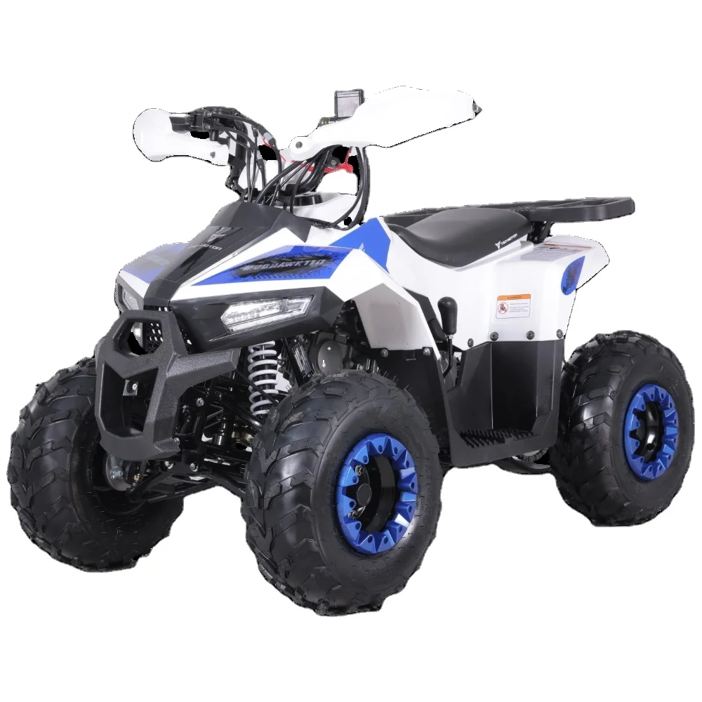 

Tao Motor Hot Selling Chinese Cheap Kids 110cc ATV