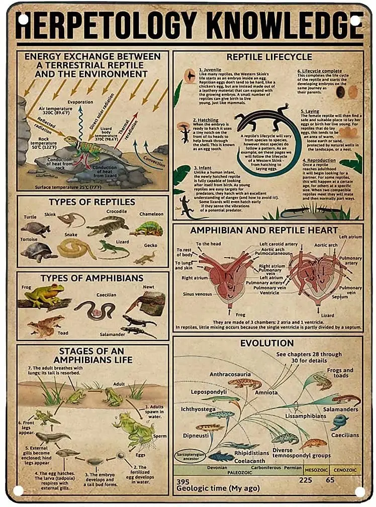 Винтажный металлический оловянный постер для развлечений в баре кафе гостиной