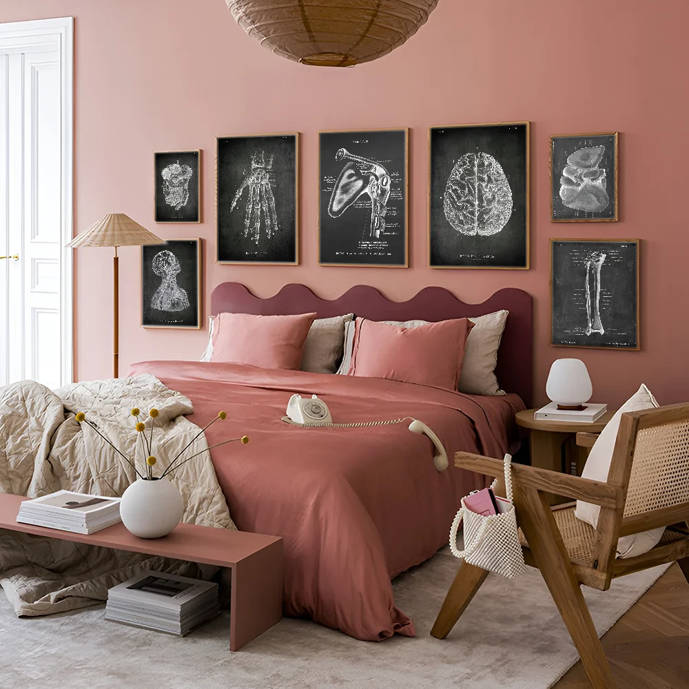 Анатомический скелет классная доска рисунок сделай сам липкий постер белая