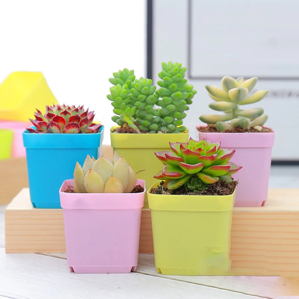 

10pcs Flower Pot Nursery Box 5.5cm Mini Square Flower Pot Colorful Plastic Plant Basin Succulent Planters Trays Transplant Pots