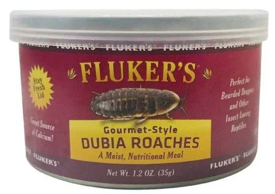 Gourmet Style Dubia Roaches