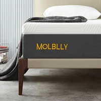 Molblly 10 Inches Premium Gel Memory Foam Mattress in a Box
