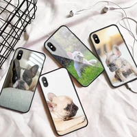 french bulldog cute animal dog phone case tempered glass for iphone 11 12 13 pro max mini 6 7 8 plus x xs xr