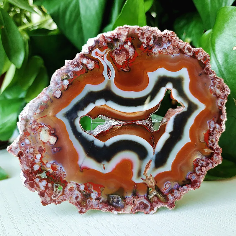 

100% Natural Stone Warring States Red Agate Crystal Slice Furnishing Articles Home Decoration Gemstone Chakra Healing Crystals