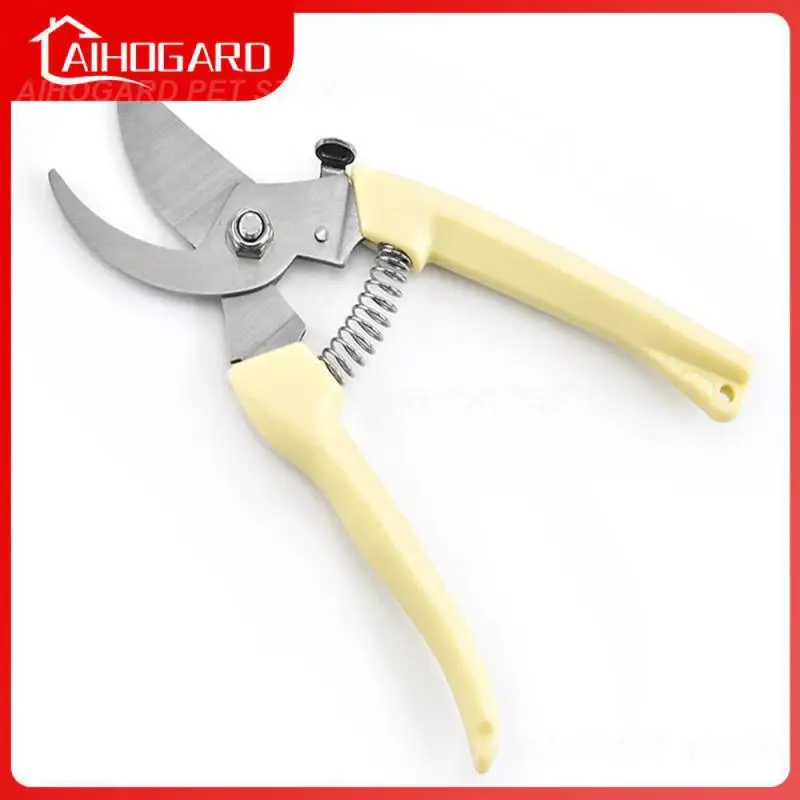 

Garden Pruning Shears Small Light Fruit Cutting Color Beige 17x.24.x8cm Professional Garden Trimmer Garden Scissors Convenient