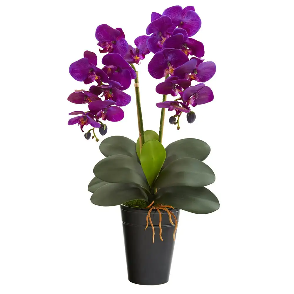 

23in. Double Phalaenopsis Orchid Artificial Arrangement in Vase