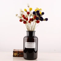 10pcs dry flower nature real dry berry flowers diy floral display rabbit grass plant for wedding bouquet home room party decor