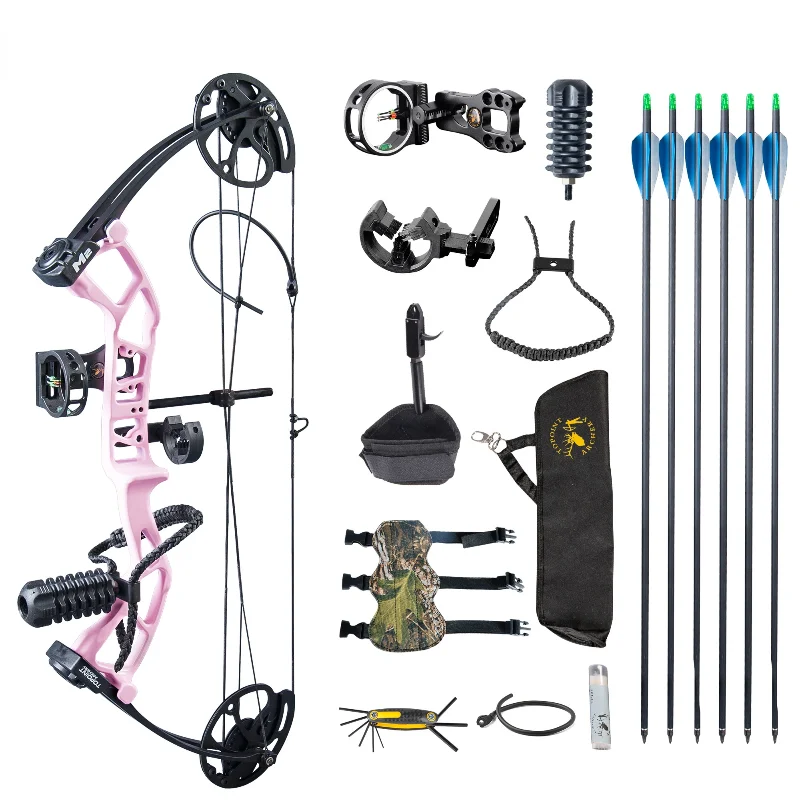 

1 Set Archery Bow and Arrow 30-40lbs Compound Bow With 6pc Carbon Arrows Professional Complete Accessories for Hunting