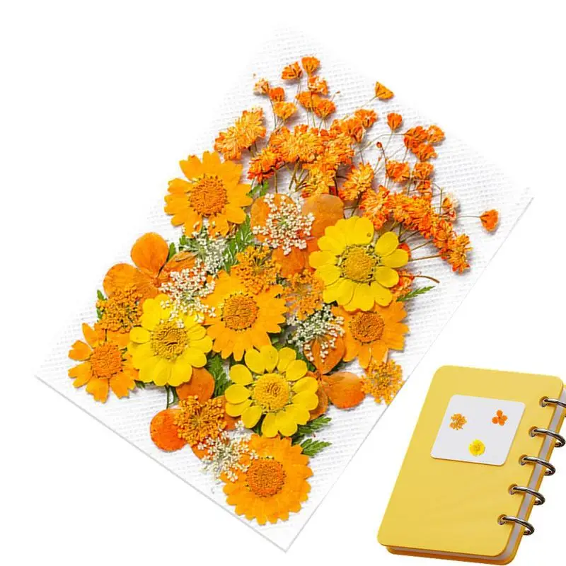 

35 шт., набор винтажных наклеек с высушенными цветами для закладок