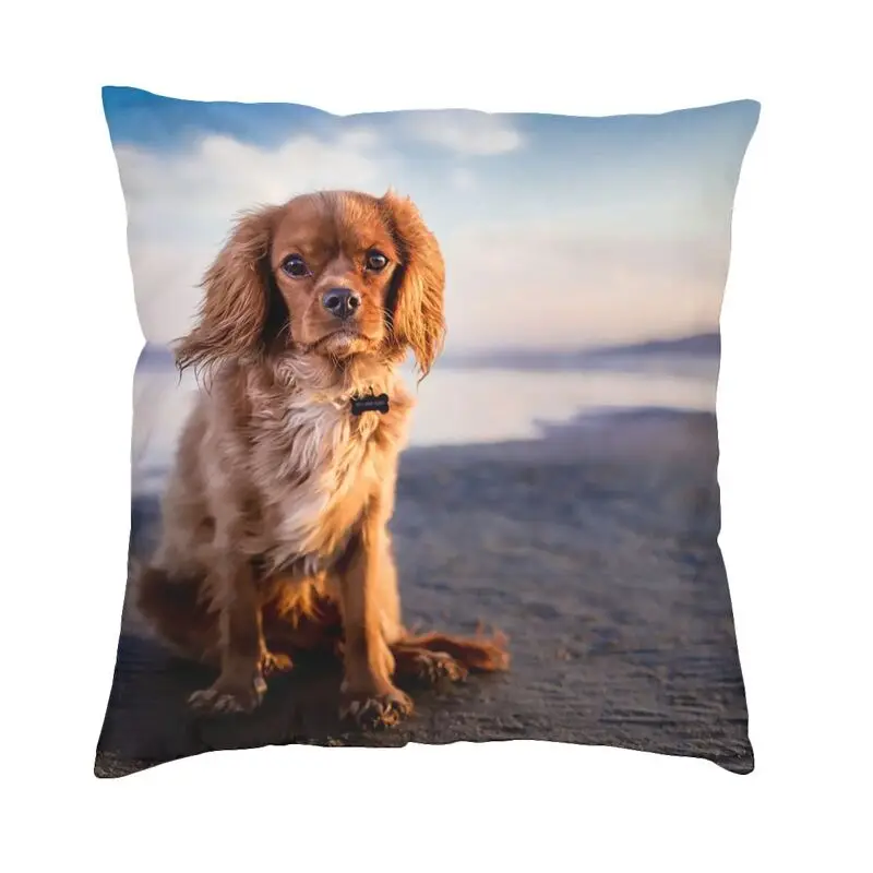 

Наволочка для диванной подушки с 3D принтом, 40x40