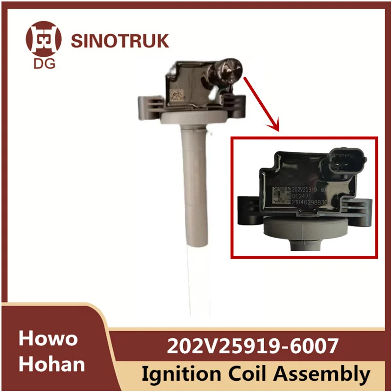 Ignition Coil Assembly 202V25919-6007 For SIONTRUK Howo T7 T5G Hohan Man Natural Gas Engine Truck Parts