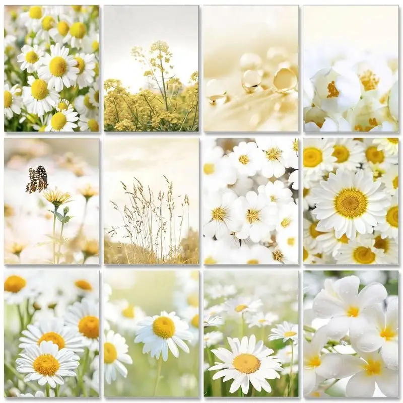 

RUOPOTY Acrylic Paint Diy Painting By Numbers With Frame Animation Picture Drawing By Numbers For Home Wall Art Decors 60x75cm