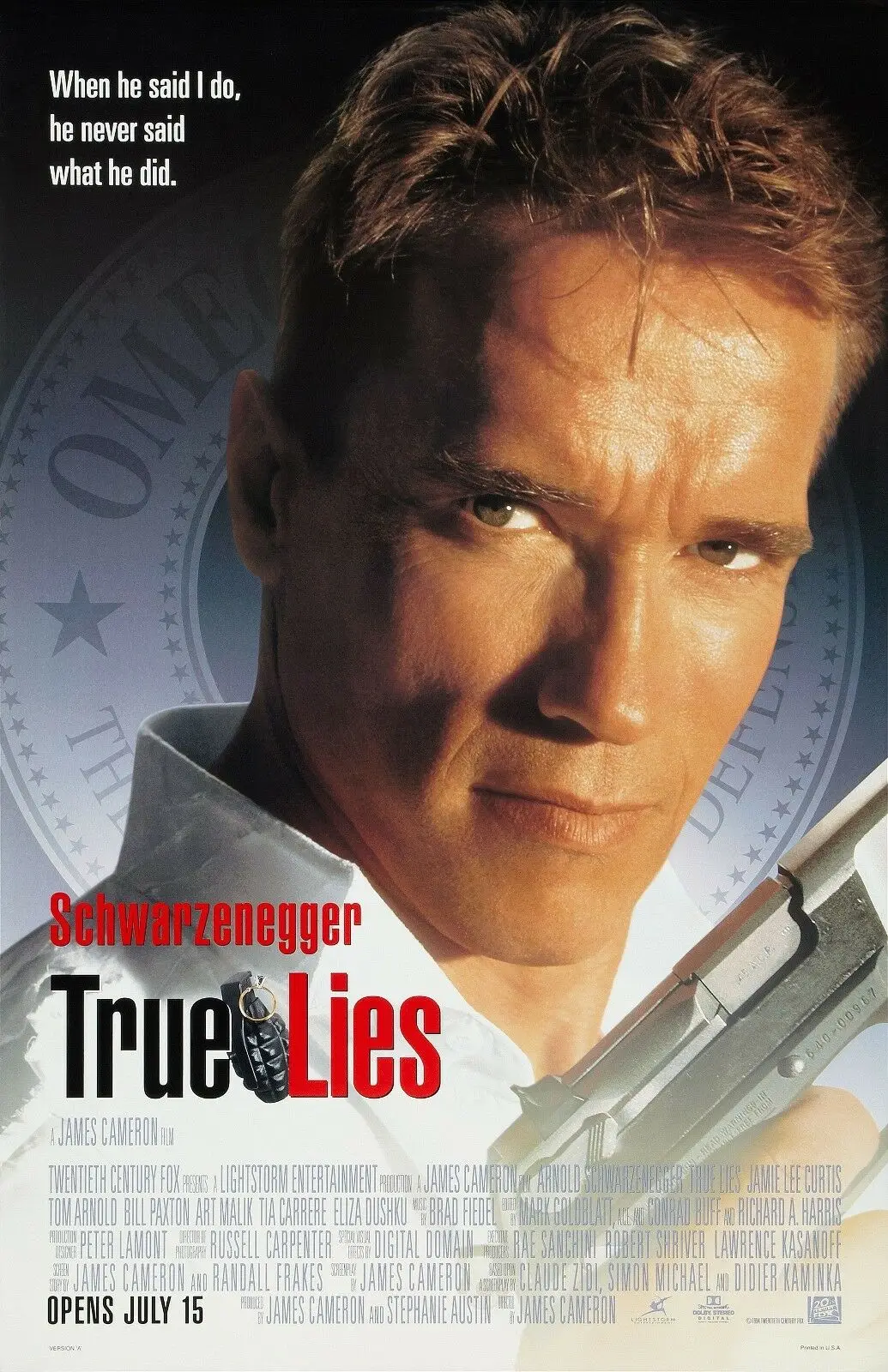 

Картина из фильма True Lies, Шелковый плакат, домашний Настенный декор