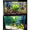 Изображение товара 5