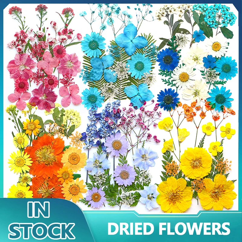 1Pack Pressed Dried Flower Dry Plants For Candle Epoxy Resin Pendant Necklace Jewelry Making Craft DIY Accessories Home Decor - купить по