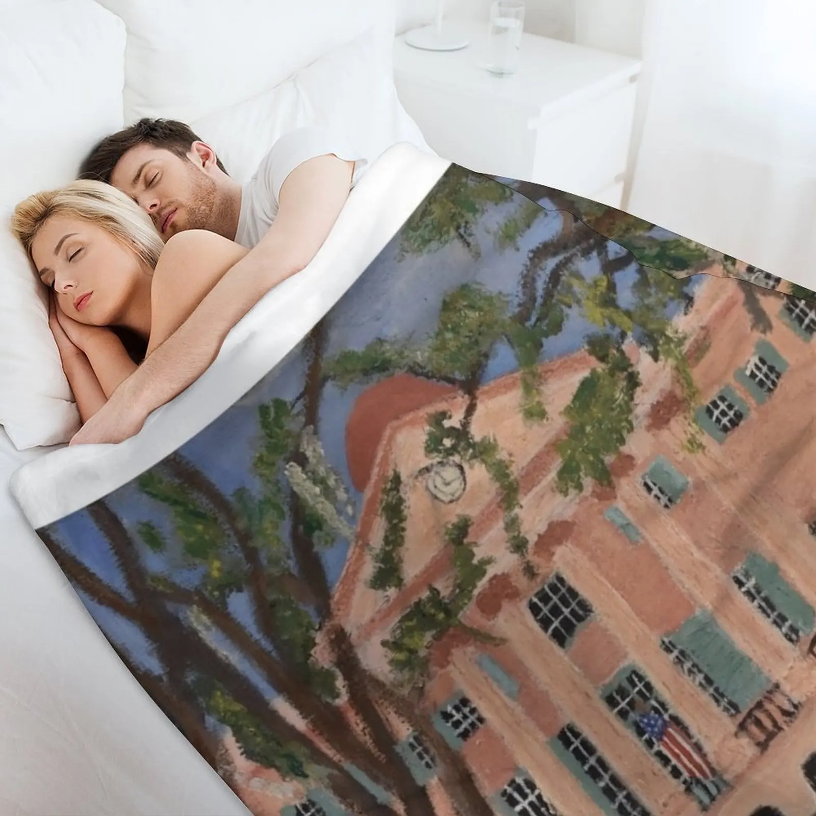 Одеяло Cistern Yard College of Charleston рождественское украшение милые клетчатые одеяла