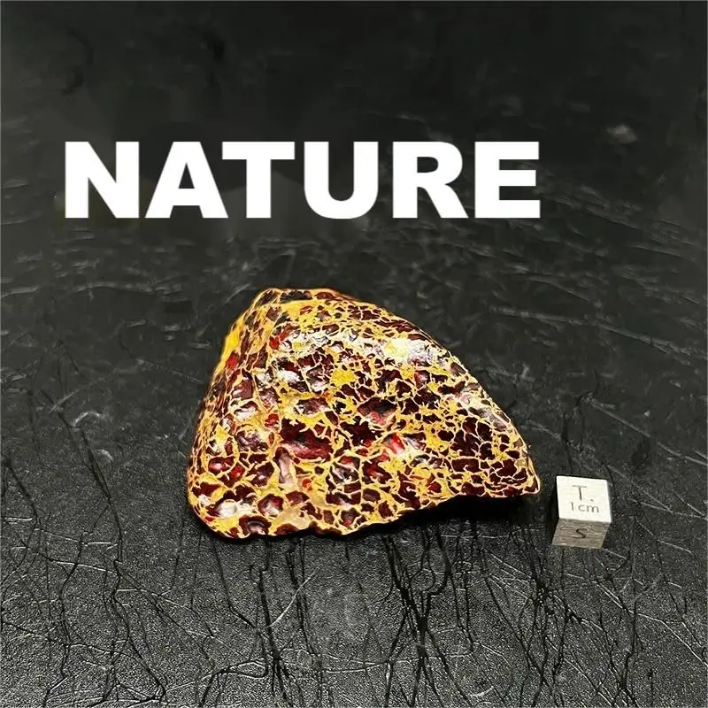 1Pcs Xinjiang Meteorite Hami Balikun Tianbao Magnetic Pure Natural Raw Stone Olive Handle Piece