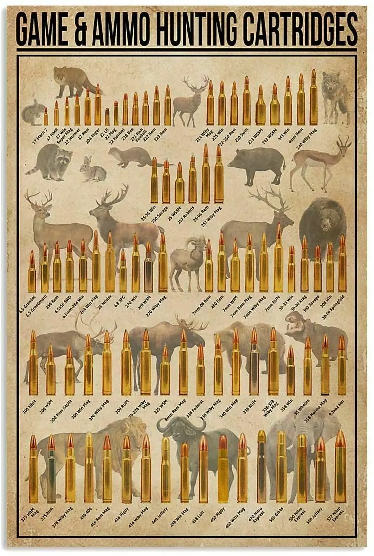 

Винтажный жестяной плакат с боеприпасами, картриджи для охоты, плакат с принтом для бара, кафе, плакат, знания, настенное украшение 12x8 дюймов