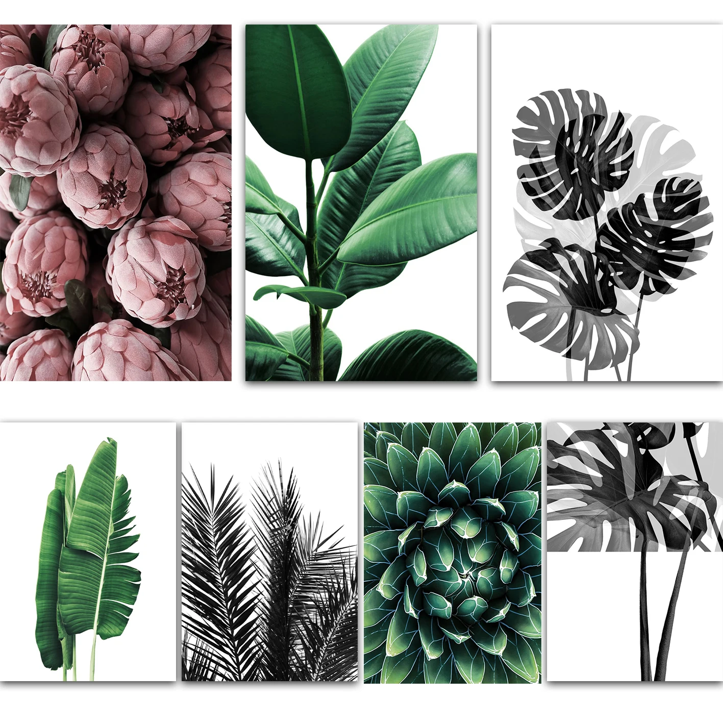 Монохромные и цветные растения фотопечать холст плакат гостиная спальня
