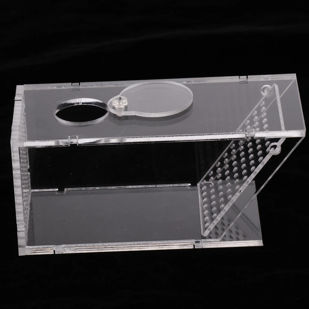 

Clear Aquarium Fish Catcher Box Aquatics Snail, 14x6x6cm