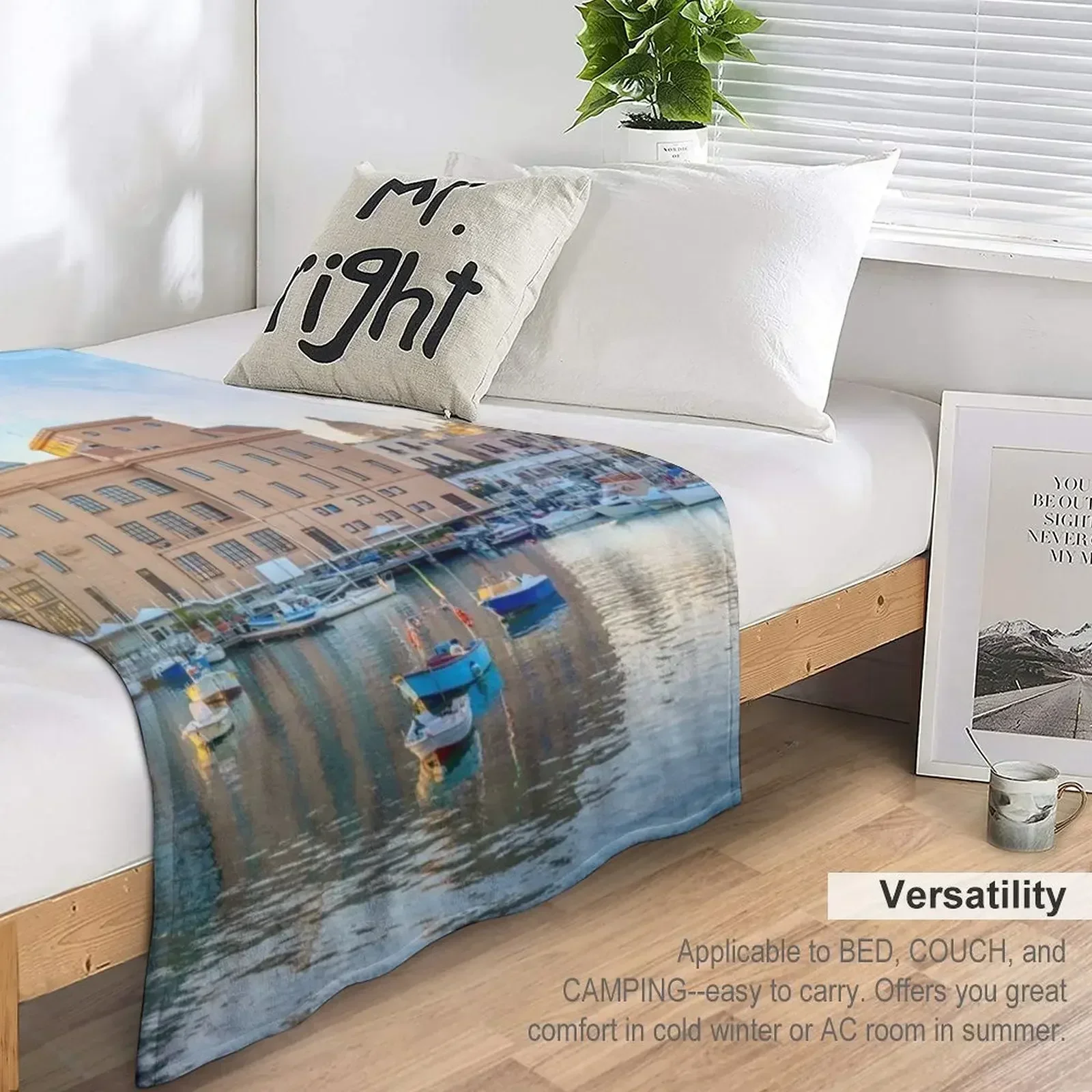 Панорама Барри Италия пледы фланелевая ткань теплая зимняя одеяло для дивана