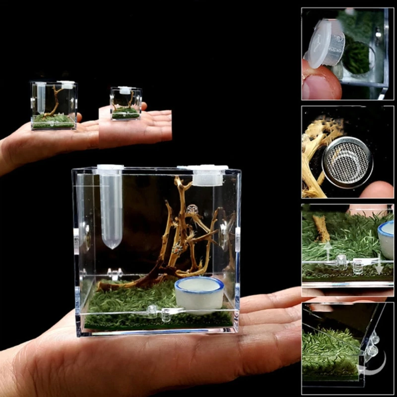 

Jumping Spider Habitat Acrylic Feeding Cage Terrarium with Arboreal