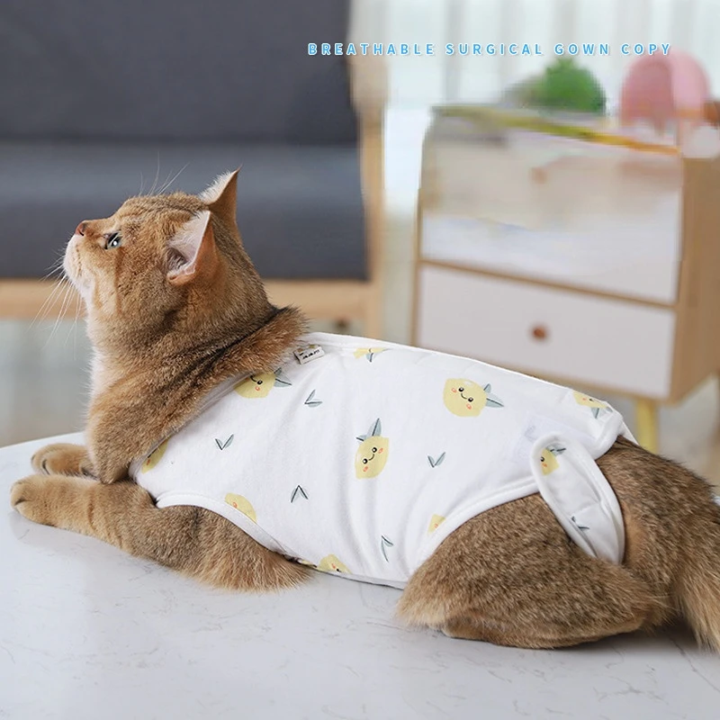 

Clothing for Cats Weaning Clothes Anti-licking Anti-hair Loss Cat Cat Breathable Postoperative Clothes Cat Accessories