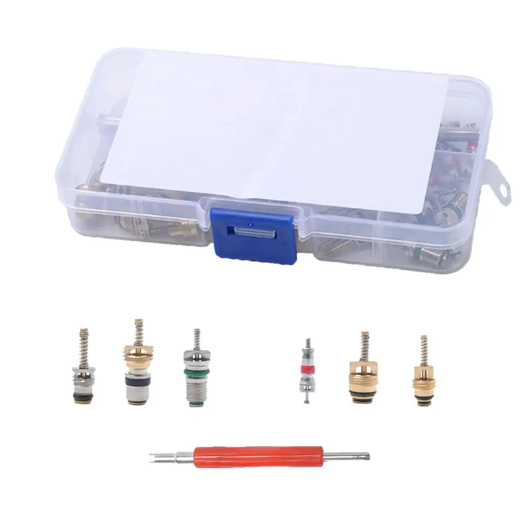 

dolity 35 Pieces Car R134a Air Conditioning Valve Core Assortment Remover Tool