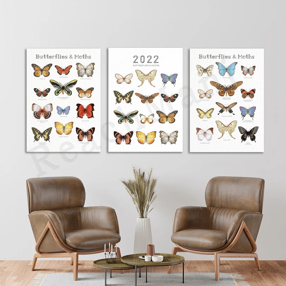 

Butterflies & Moths / Poster / Illustrations / Art Print / Home Decor / Insects / Butterfly / Moth / Nature