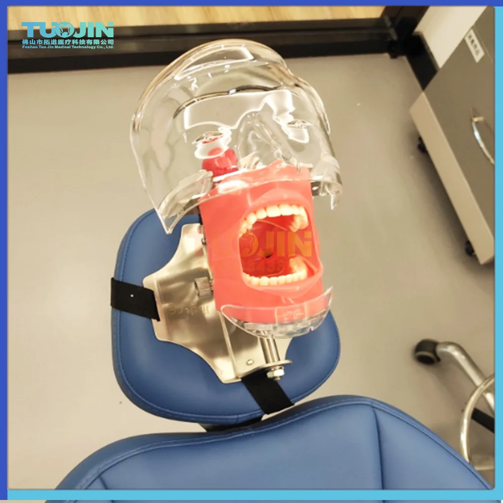 

Модель стоматологической головки, стоматологический симулятор, фантомный манекен с зубцами для стоматолога, обучение, стоматологическое о...