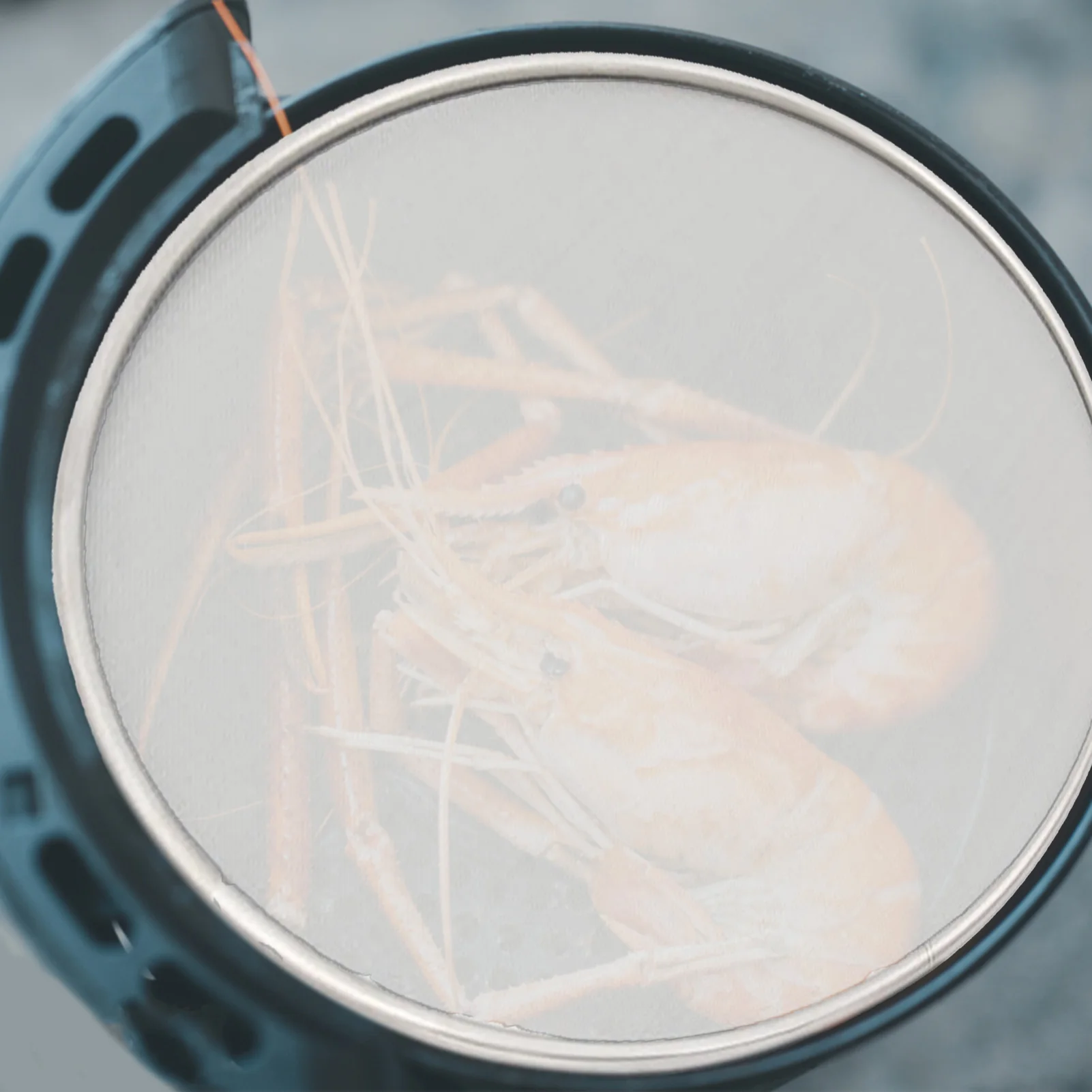 

Сетка для фритюрницы, запасные части для защиты от брызг, из нержавеющей стали