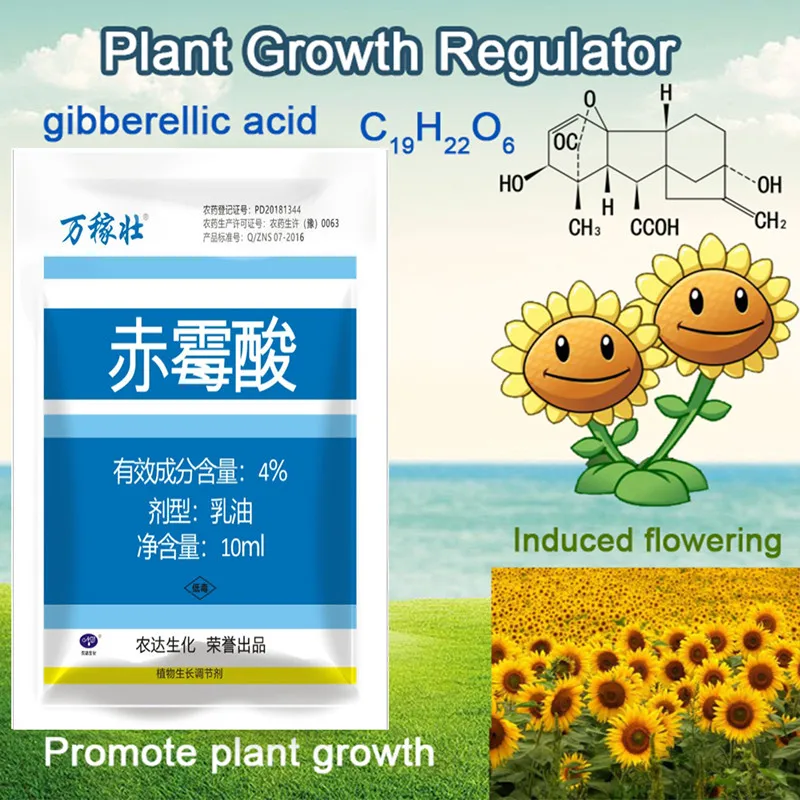 

10ml/Bag GA3 Gibberellic Acid 920 Plant Growth Regulator Break Sleep Fertilizer Increase Production For Home Garden Bonsai Use