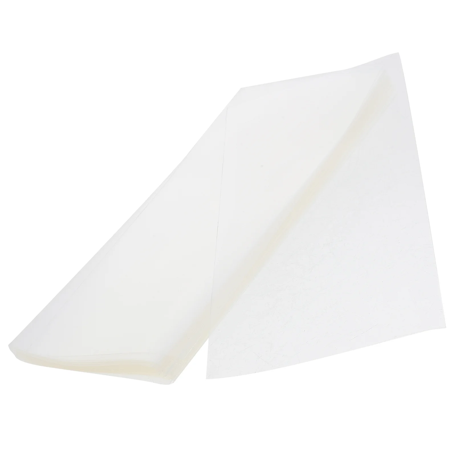 

50 Pcs Coin Banknote Protective Pouch Dollar Bill Sleeves Commemorative Money Case Protector Banknotes Holder Bags Transparent